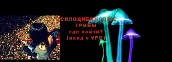 СК Покачи