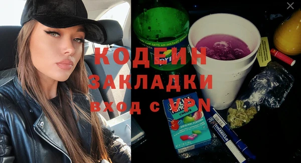 СК Кодинск