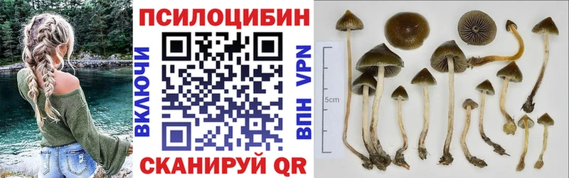гидра вход  Кедровый  Галлюциногенные грибы Psilocybine cubensis  купить  